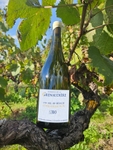 Cuvée Collection : LES 300. Un Muscadet numéroté exceptionnel